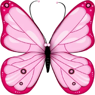 🦋