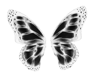 🦋