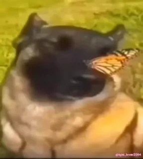 😌