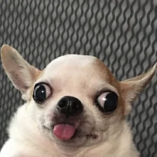 😳