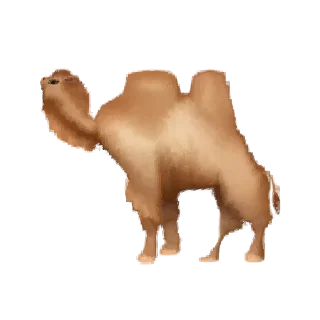 🐫
