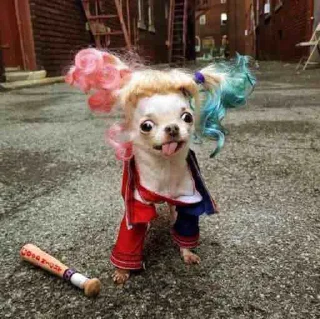 🤪