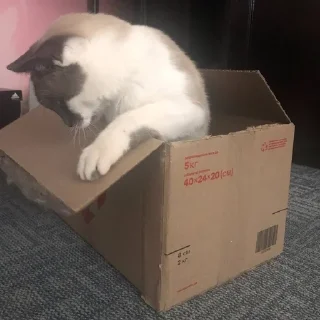 📦