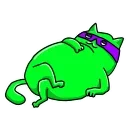 😺