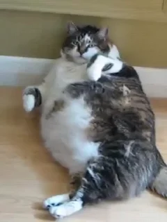 😋