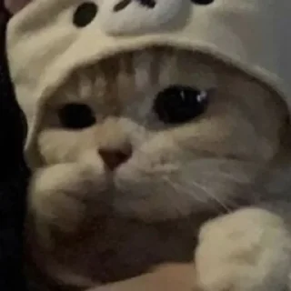 🤨