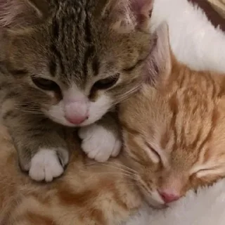 🥰