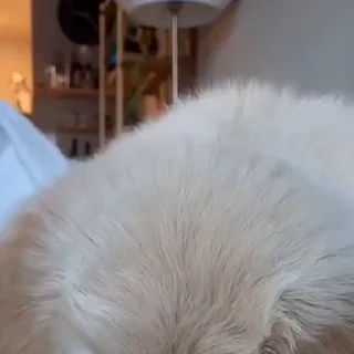 😱