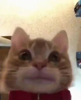 👀