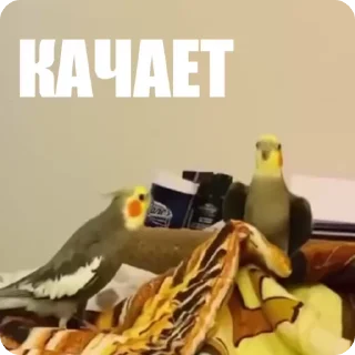 👻