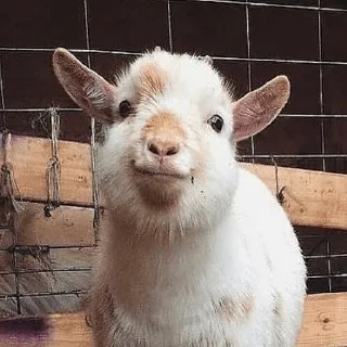 ☺️
