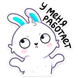🐰