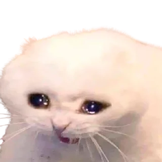 😢