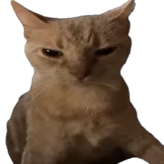 😡