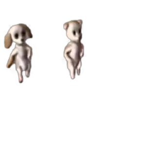 🐶