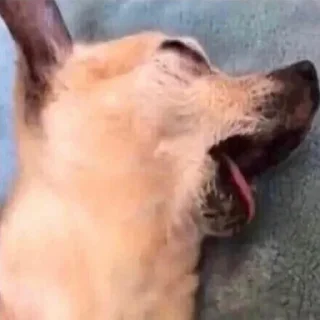 🥴