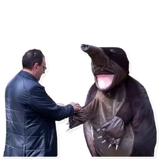 ✊