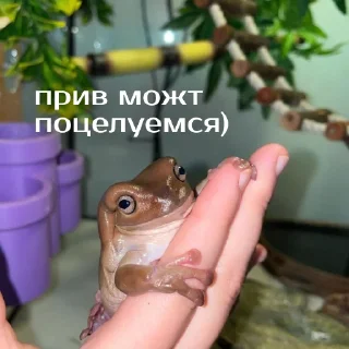 😏