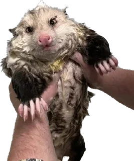 🛀