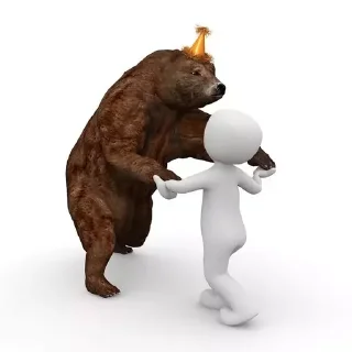 🐻