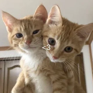 ❤️