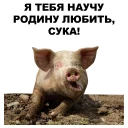 🐖
