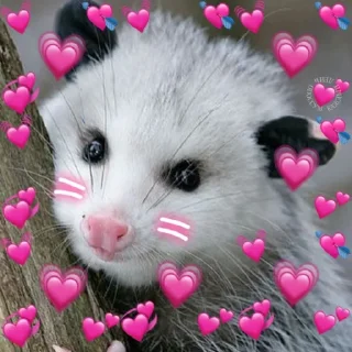 💘