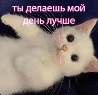 🤍