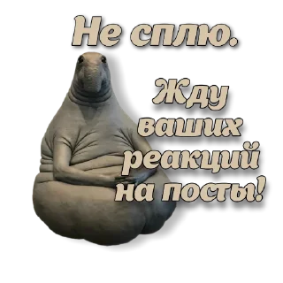 🙇‍♀