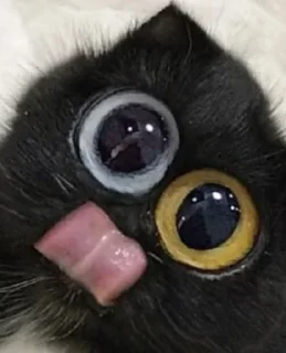 😝