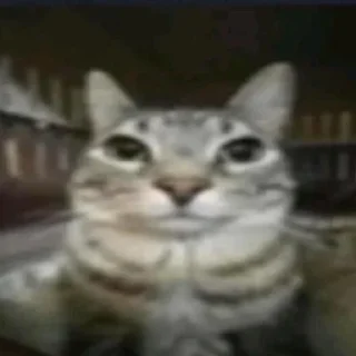 😶