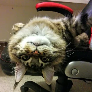 🙃