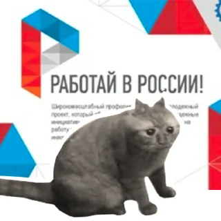 🇷🇺