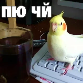 😋