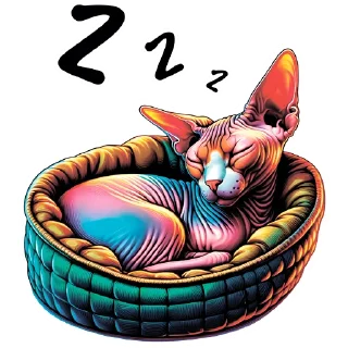 😴