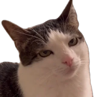 😑