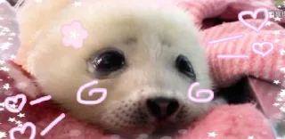 ☺️