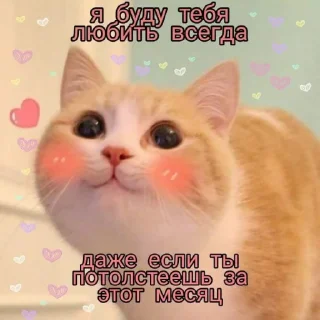 😇