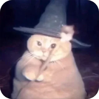 🎉