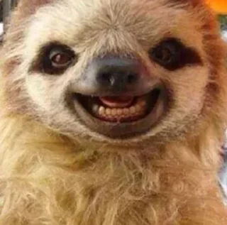 😬