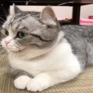 🥱