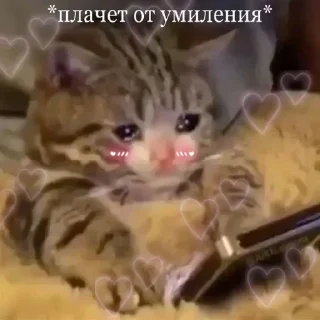 🥺