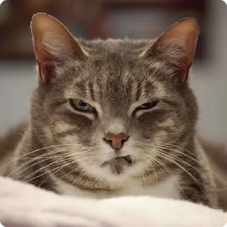 🧐