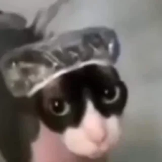🤯