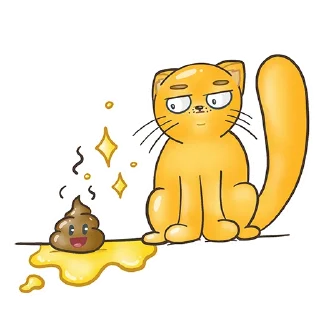 💩