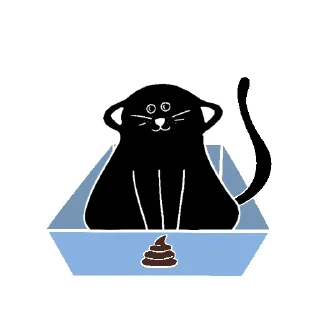💩