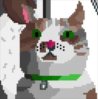 🐱