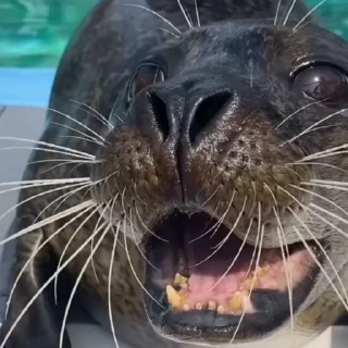 😀