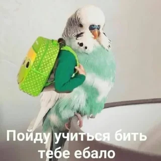🤗