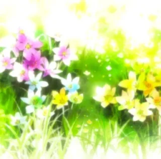 🌺